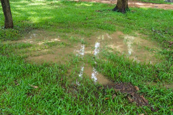 Cost of Storm Water Drainage Service in Kansas City