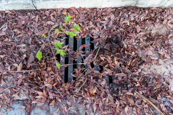 Cost of Yard Drain Unclogging in Kansas City