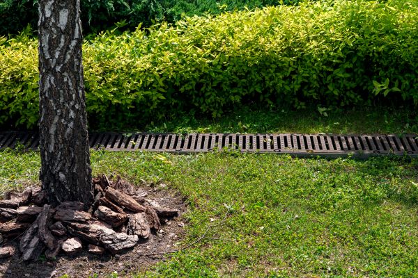 Cost of Wet Yard Drainage in Kansas City