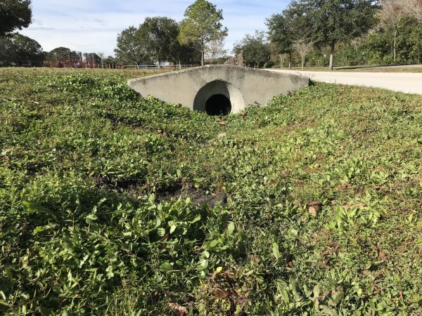 Cost of Swale Drainage Service in Kansas City