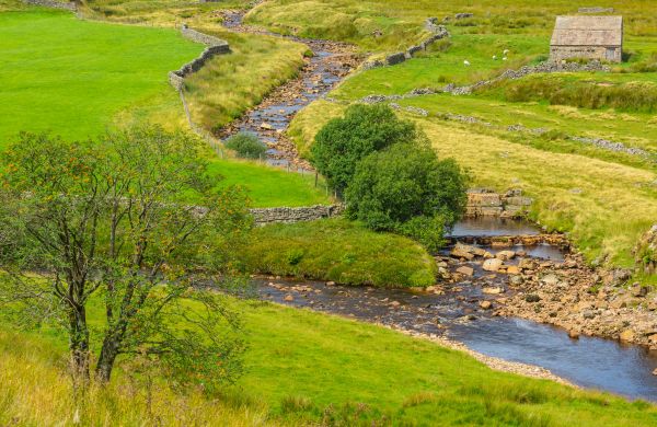 Cost of Swale Repair in Kansas City